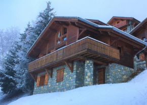 Individual chalet *** La Plagne Montalbert (Paradiski)